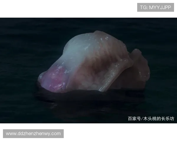 这10个惊悚瞬间,让你彻底看懂《云南虫谷》的终极恐惧! 这10个惊悚瞬间,让你彻底看懂《云南虫谷》的终极恐惧!