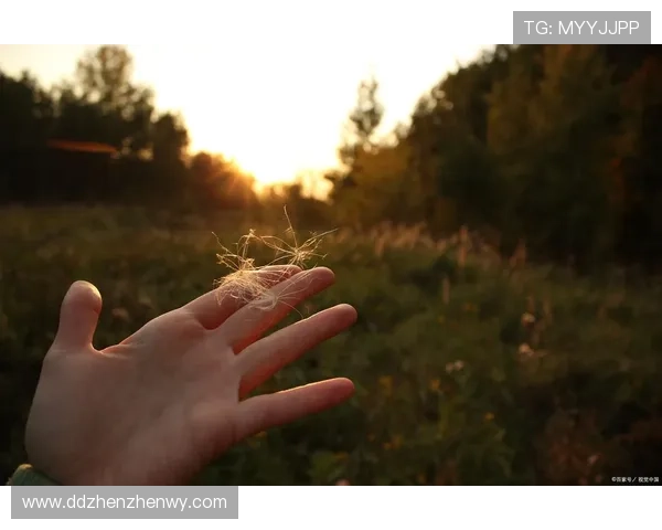 小林瞳:在时光的角落里,悄然绽放的治愈之光 小林瞳:在时光的角落里,悄然绽放的治愈之光