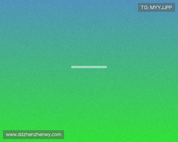 拾起零落的时光：破烂熊与你的皮囊，一场温柔的相遇